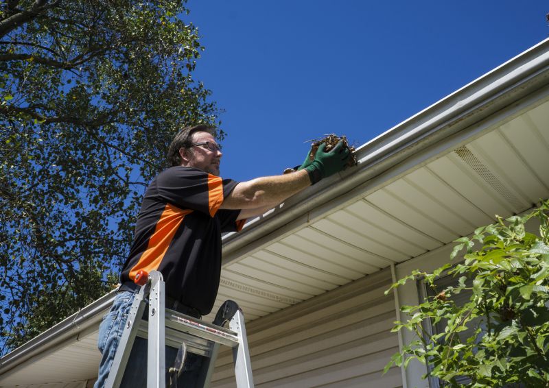 Clogged Gutter Clearing