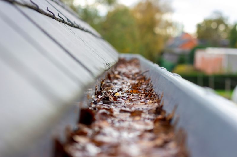 Debris Blockage in Gutters