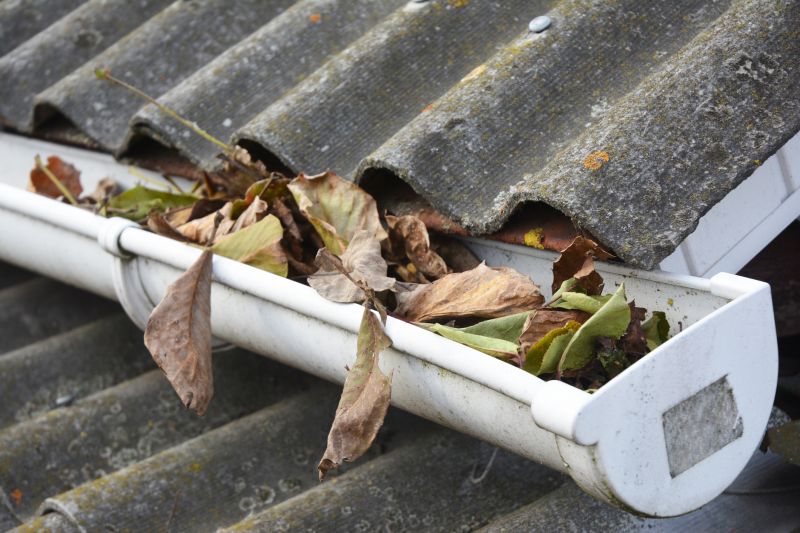 Leaves and Debris in Gutters