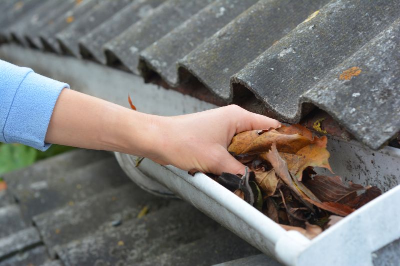 Property with Clear Gutters