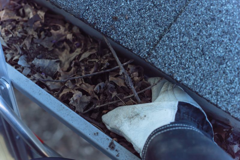Clogged Gutter Clearing