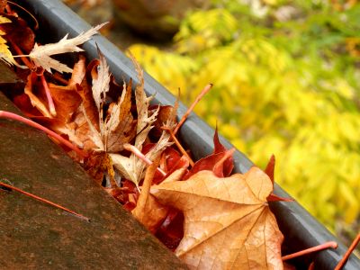 Gutter Cleaning in Fall
